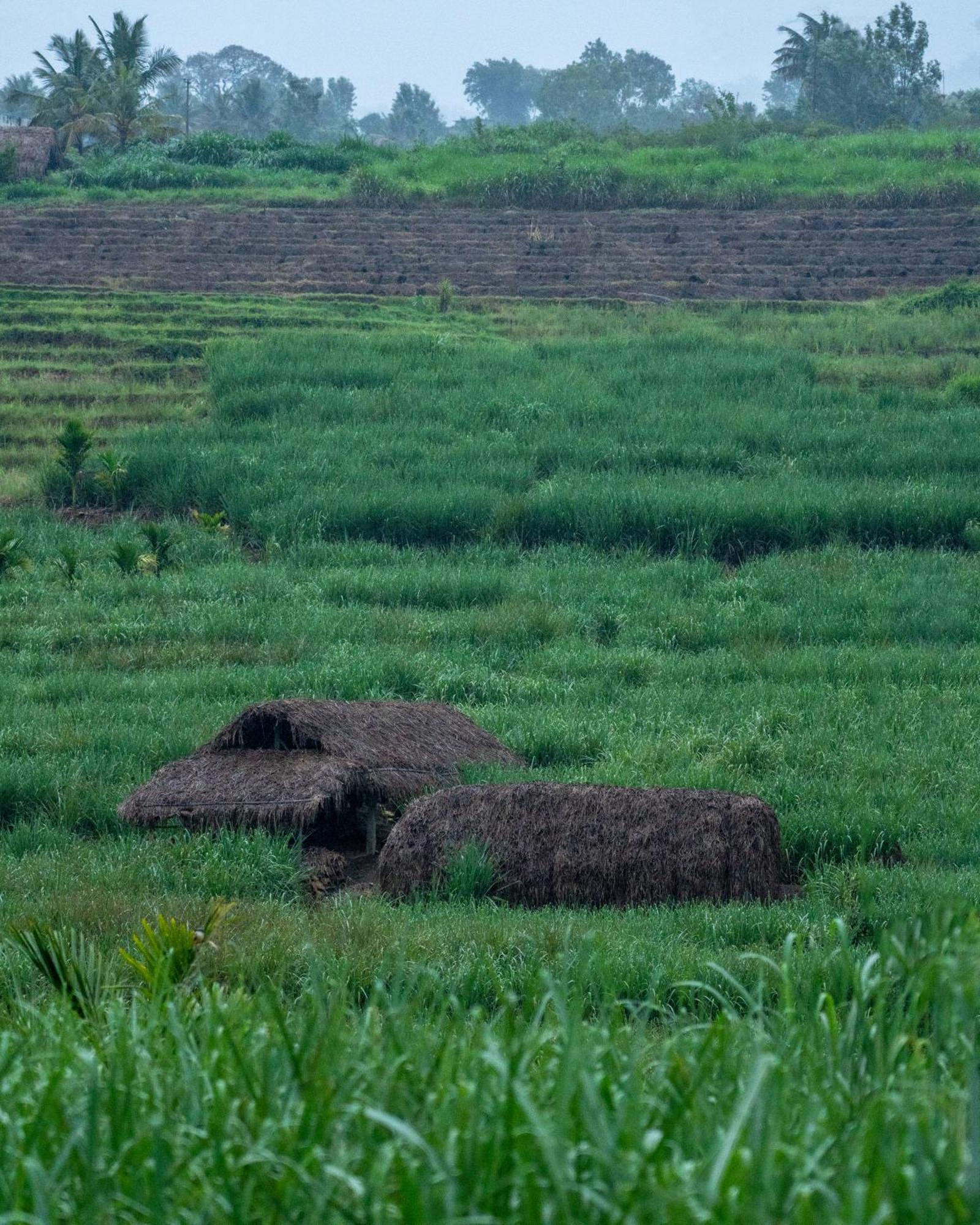 The Mudhouse Marayoor Hotell Munnar Exteriör bild